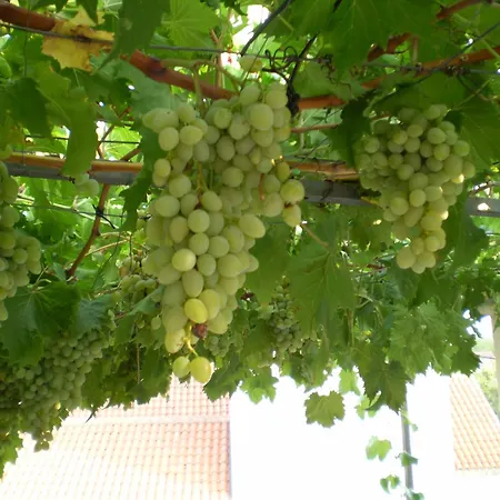 With Wifi - 14990 Apartamento *