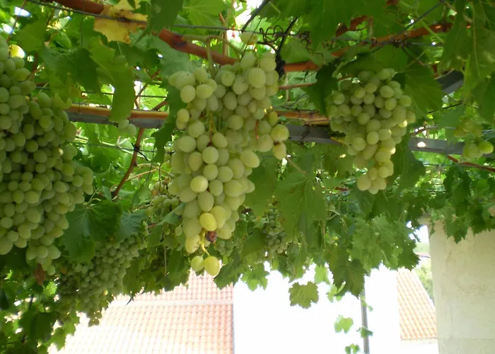 With Wifi - 14990 شقة *